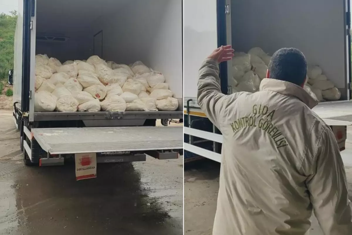 Tam 23 ton! Tarihi geçmiş ürünü vatandaşa yedireceklerdi